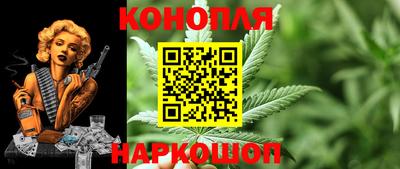 мдпв Вышний Волочёк