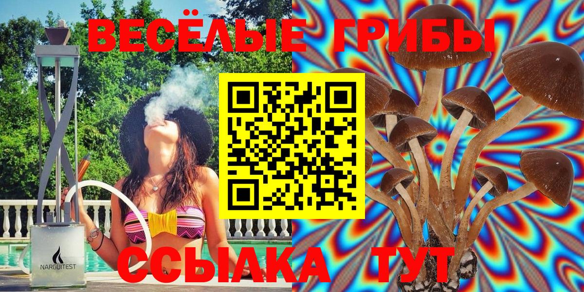 Галлюциногенные грибы Psilocybine cubensis  Вход с VPN  Кировск  Галлюциногенные грибы Cubensis 