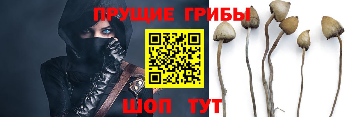 Галлюциногенные грибы ЛСД Кировск